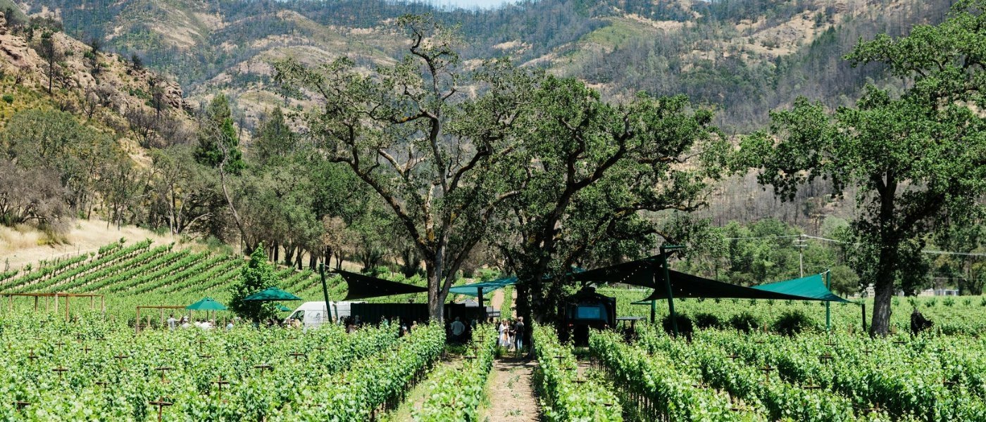 Vineyards Sonoma